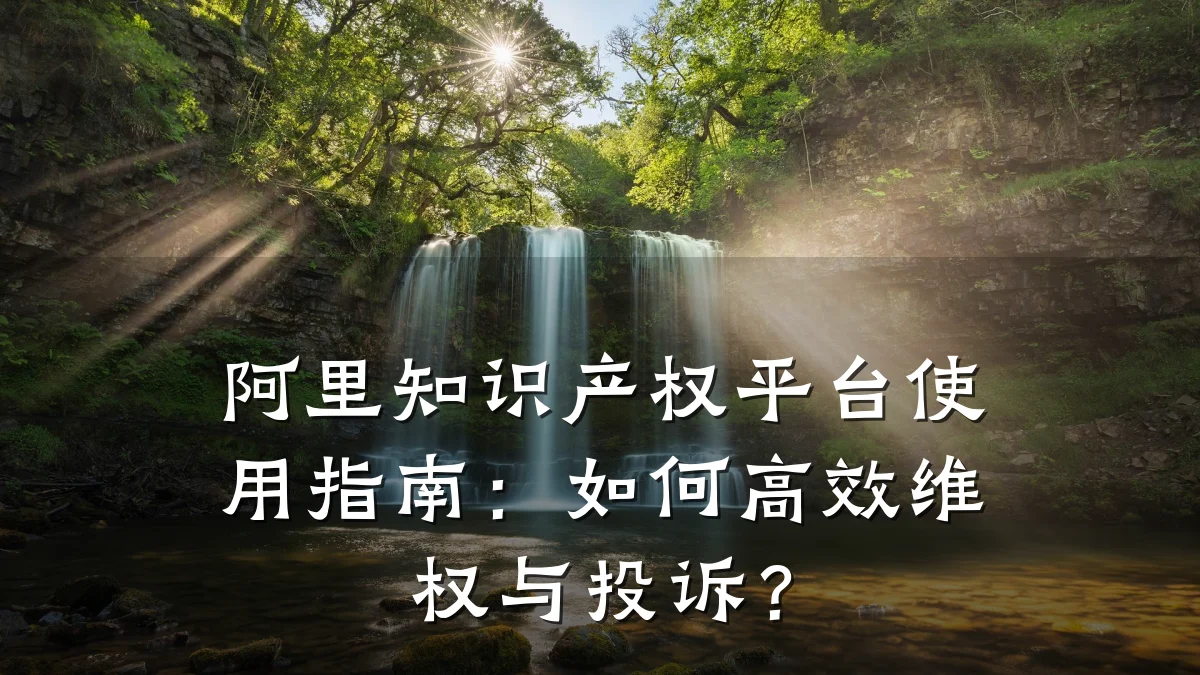 阿里知识产权平台使用指南：如何高效维权与投诉？