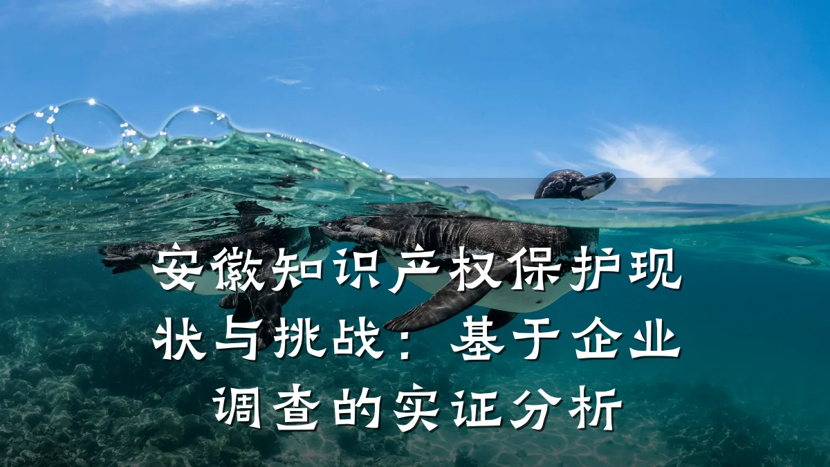 安徽知识产权保护现状与挑战:基于企业调查的实证分析