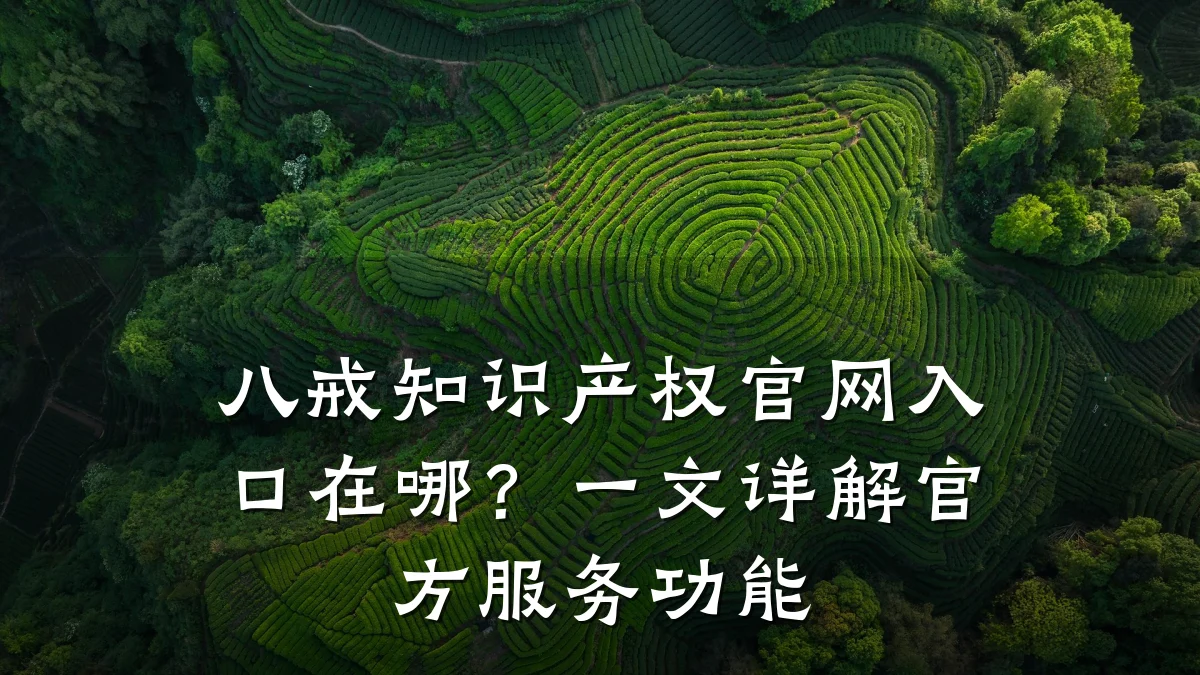 八戒知识产权官网入口在哪?一文详解官方服务功能