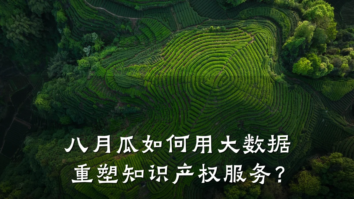 八月瓜如何用大数据重塑知识产权服务?
