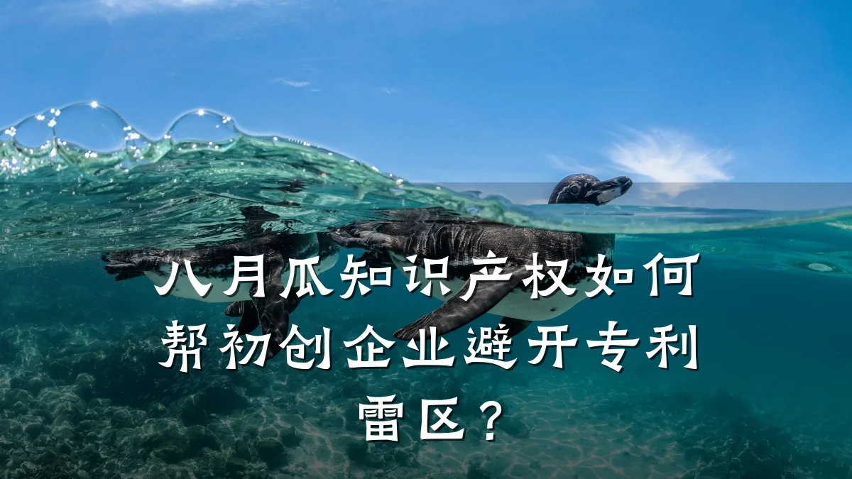 八月瓜知识产权如何帮初创企业避开专利雷区？