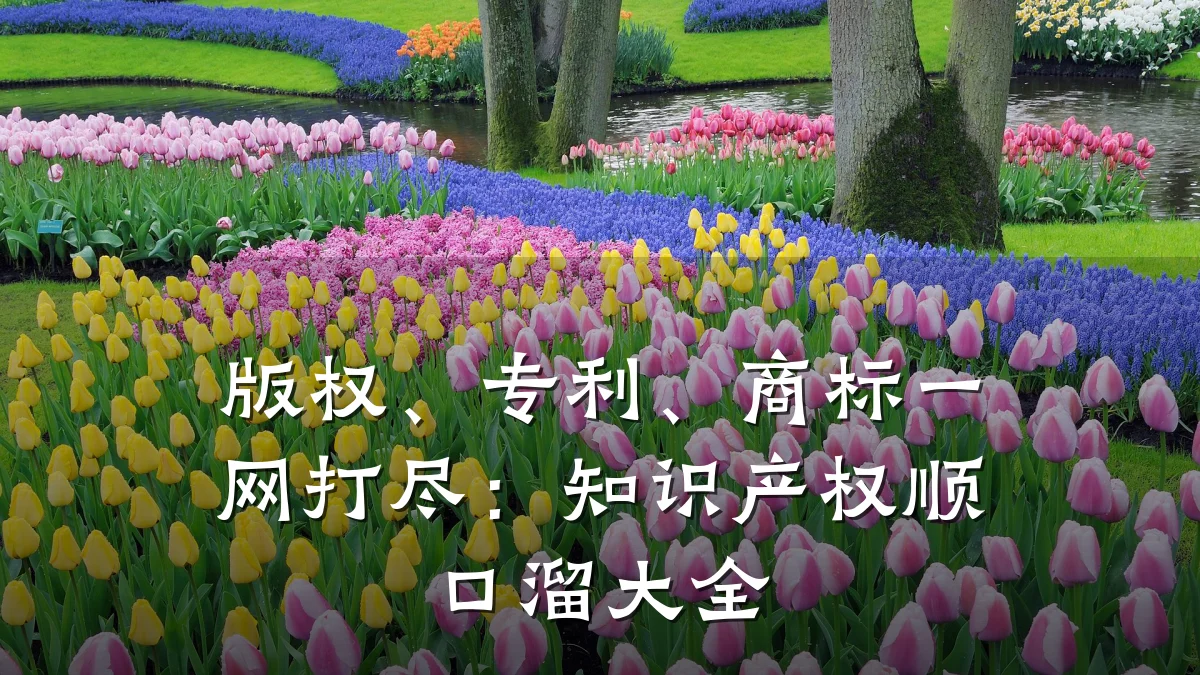 版权、专利、商标一网打尽:知识产权顺口溜大全