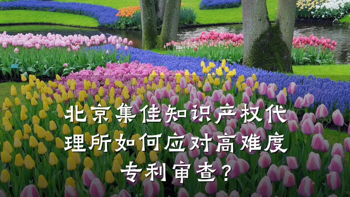 北京集佳知识产权代理所如何应对高难度专利审查？