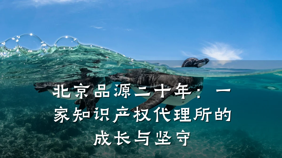 北京品源二十年：一家知识产权代理所的成长与坚守