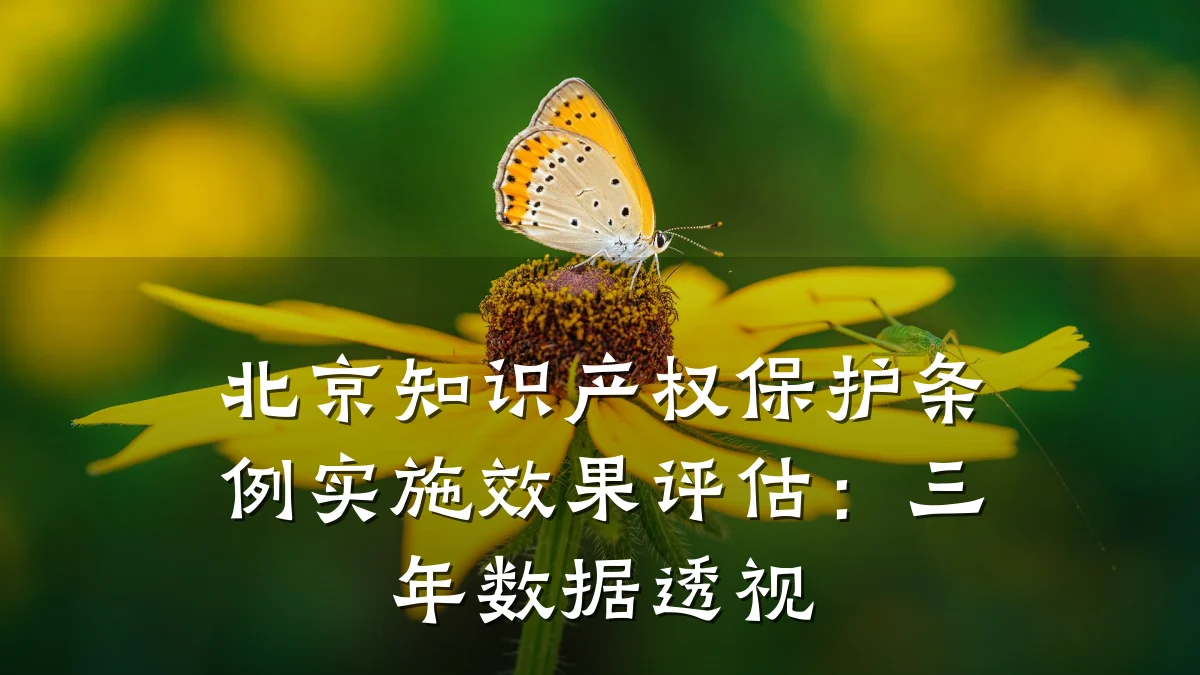 北京知识产权保护条例实施效果评估：三年数据透视