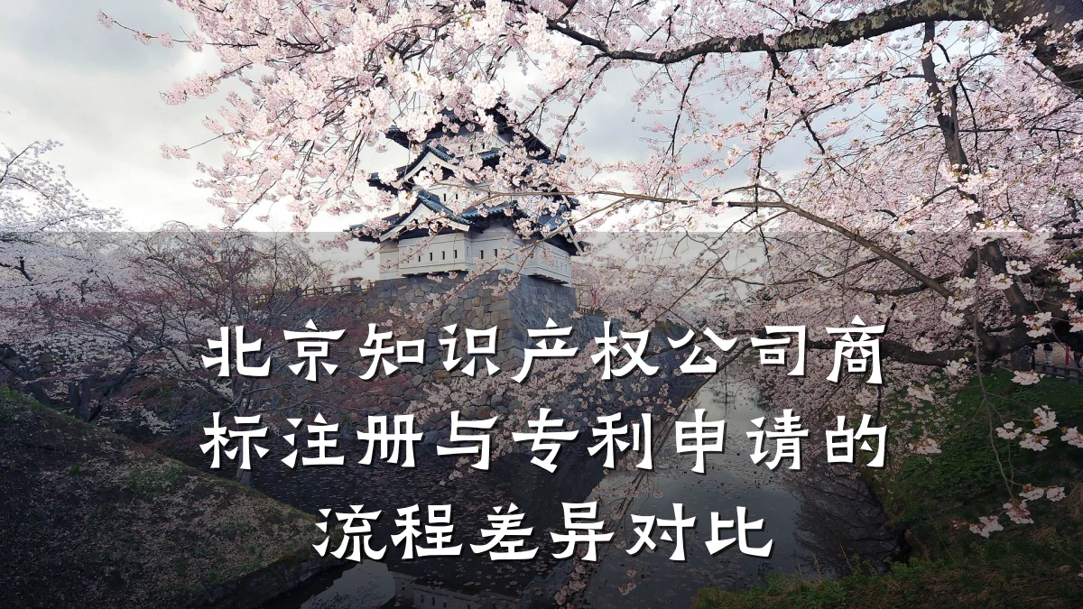 北京知识产权公司商标注册与专利申请的流程差异对比