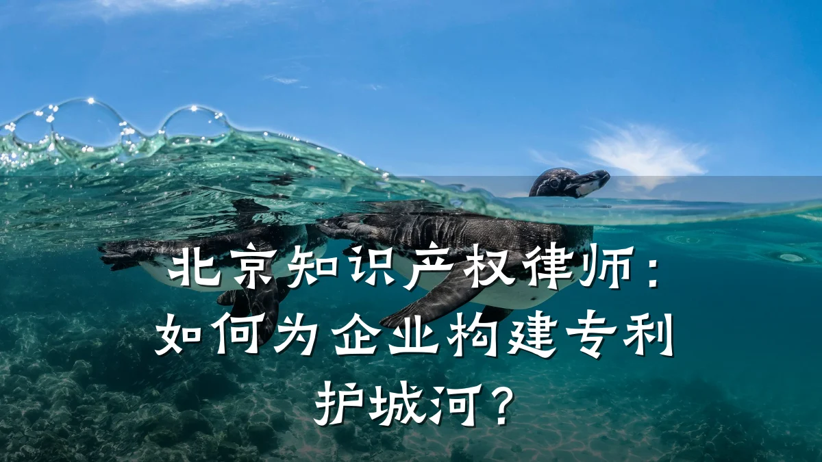 北京知识产权律师：如何为企业构建专利护城河？