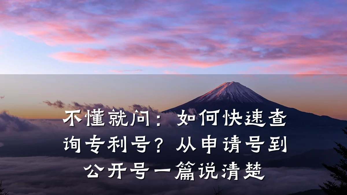 不懂就问：如何快速查询专利号？从申请号到公开号一篇说清楚