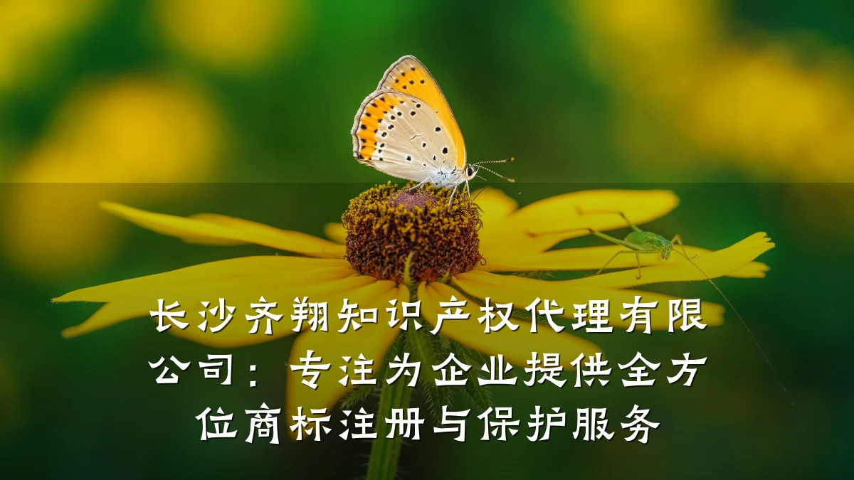 长沙齐翔知识产权代理有限公司:专注为企业提供全方位商标注册与保护服务