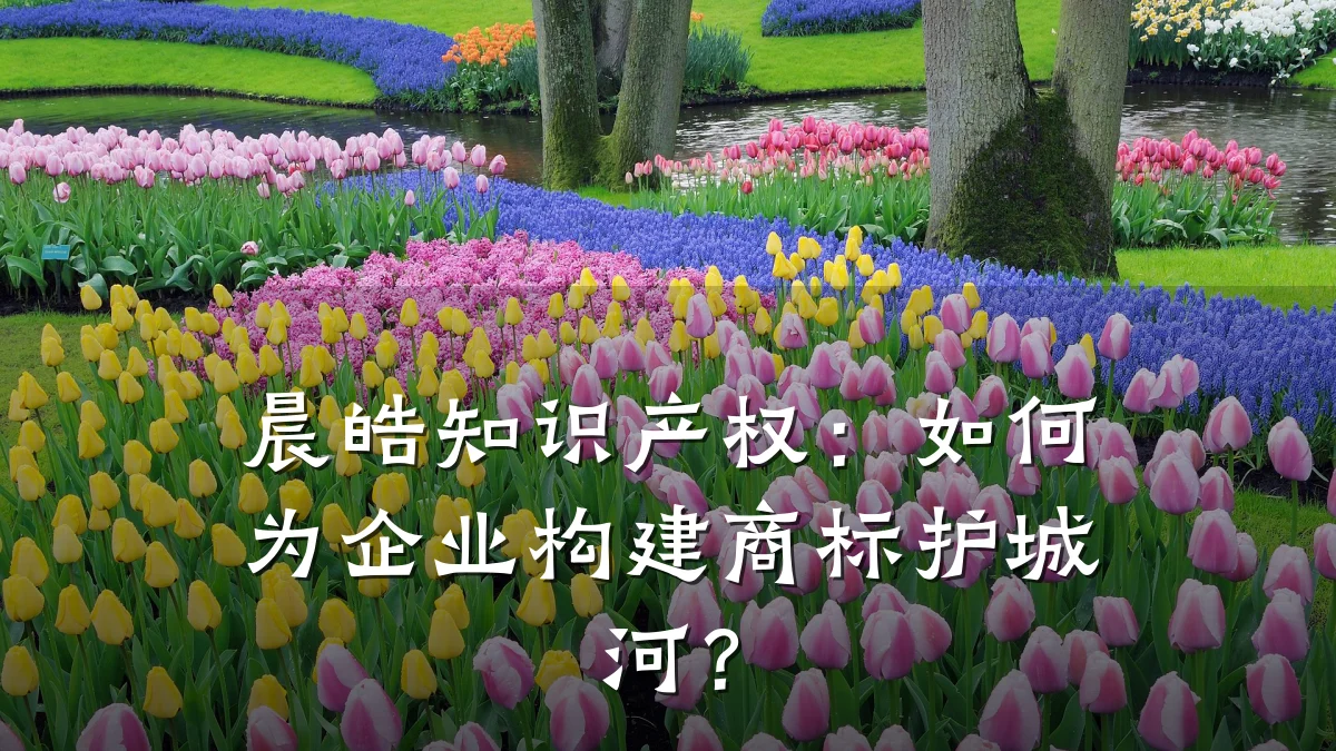 晨皓知识产权：如何为企业构建商标护城河？