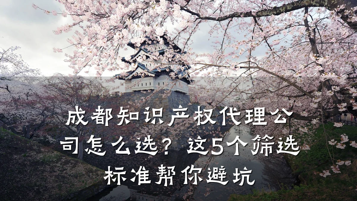 成都知识产权代理公司怎么选？这5个筛选标准帮你避坑