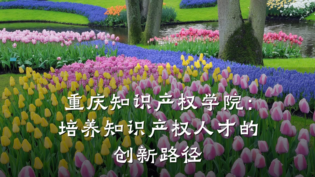 重庆知识产权学院：培养知识产权人才的创新路径