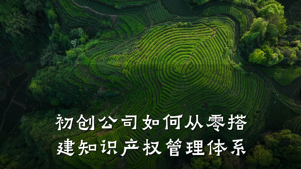 初创公司如何从零搭建知识产权管理体系