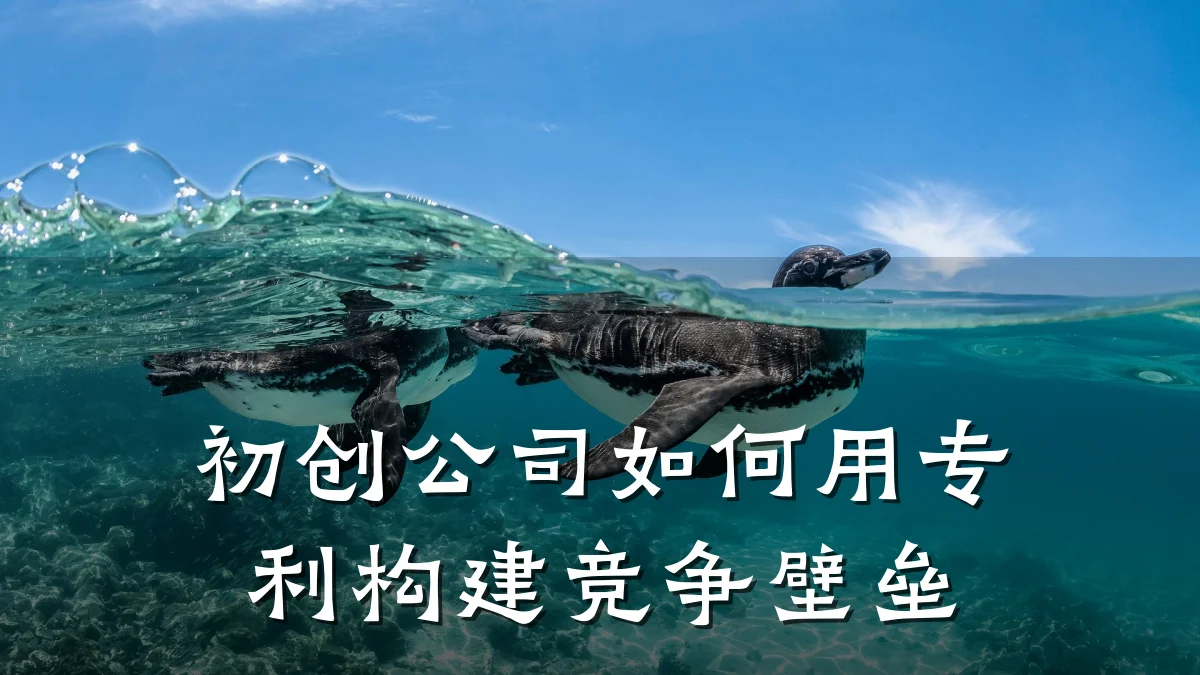 初创公司如何用专利构建竞争壁垒