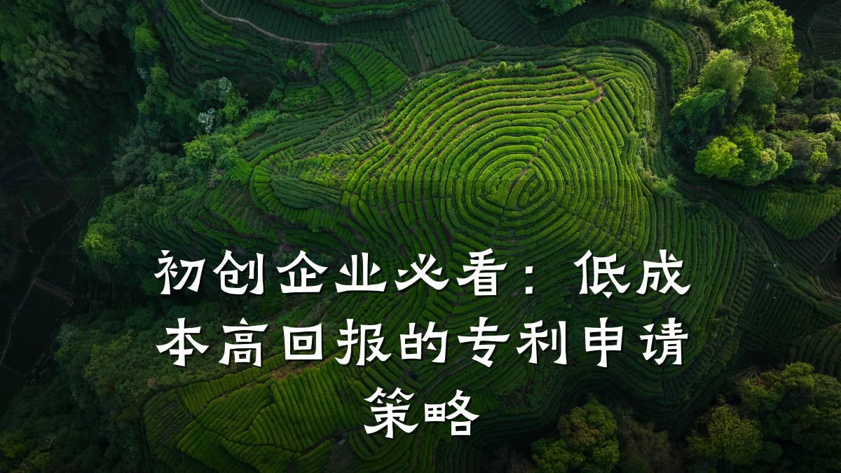 初创企业必看:低成本高回报的专利申请策略