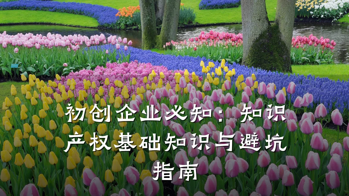 初创企业必知：知识产权基础知识与避坑指南