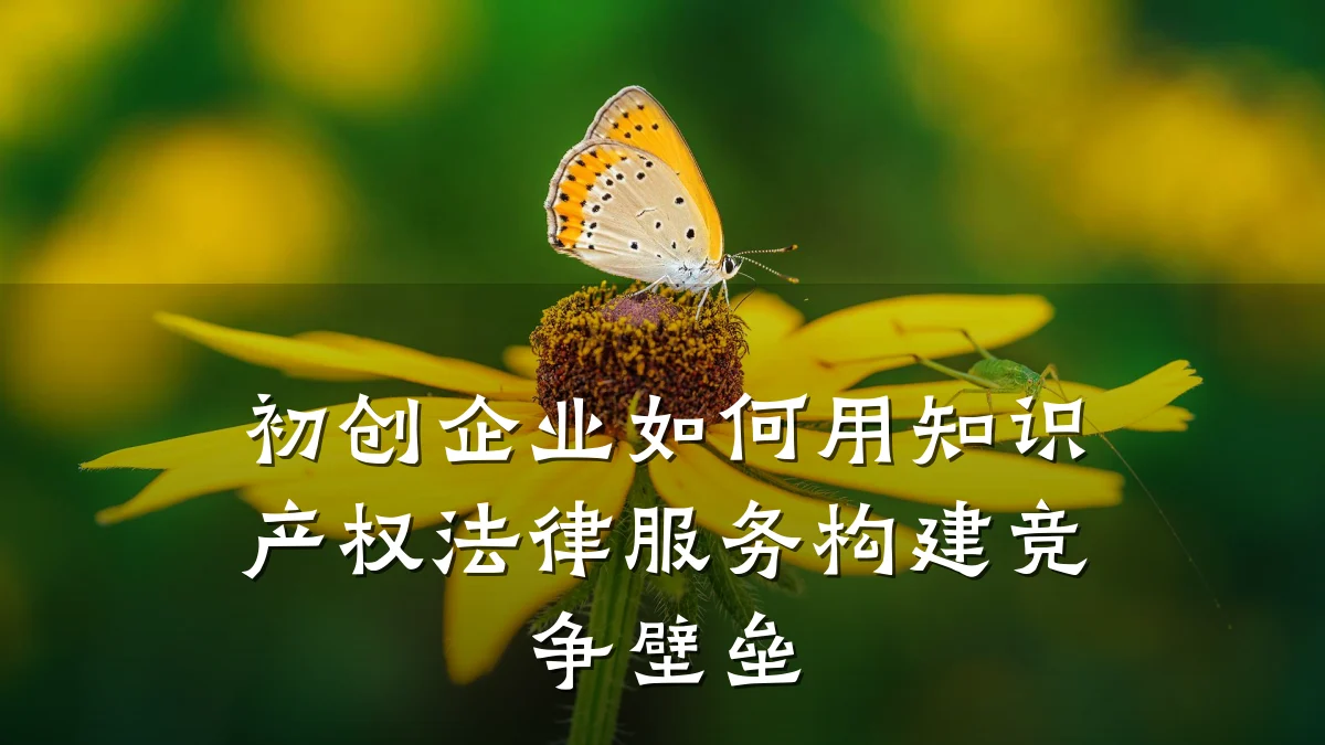 初创企业如何用知识产权法律服务构建竞争壁垒