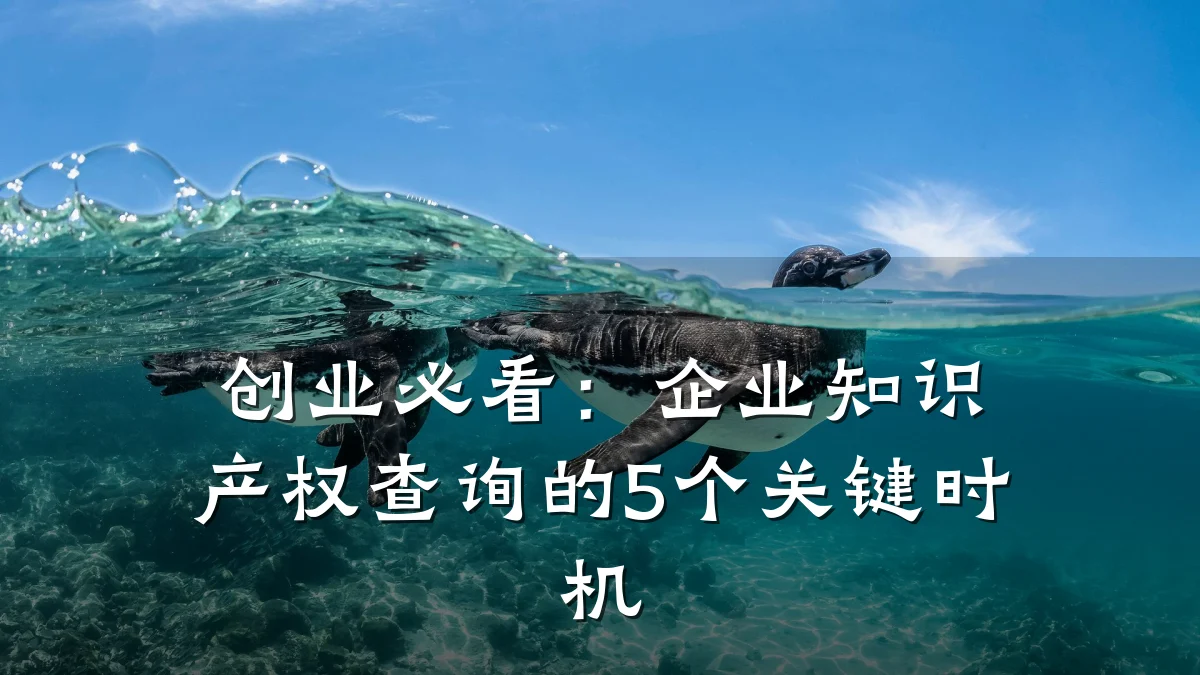 创业必看:企业知识产权查询的5个关键时机