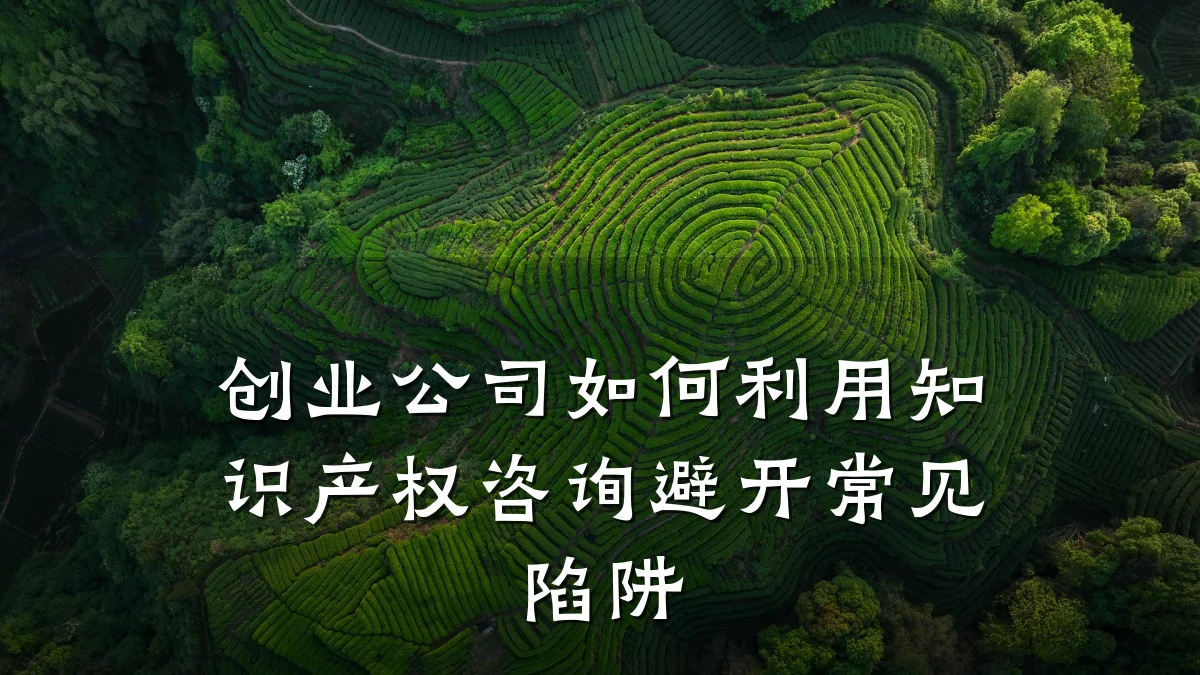 创业公司如何利用知识产权咨询避开常见陷阱