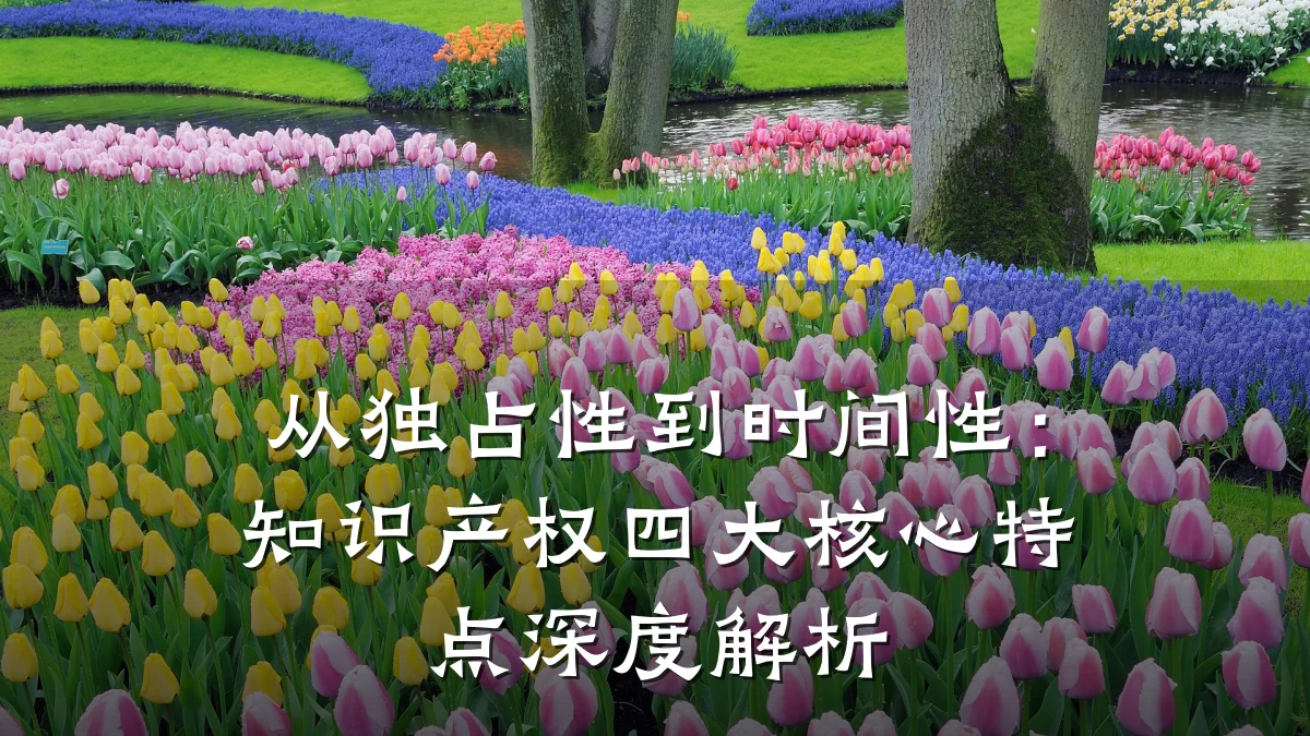 从独占性到时间性:知识产权四大核心特点深度解析