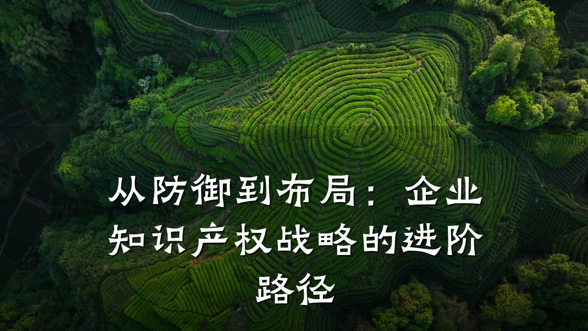 从防御到布局：企业知识产权战略的进阶路径