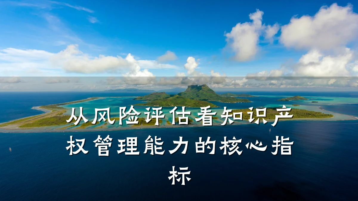 从风险评估看知识产权管理能力的核心指标