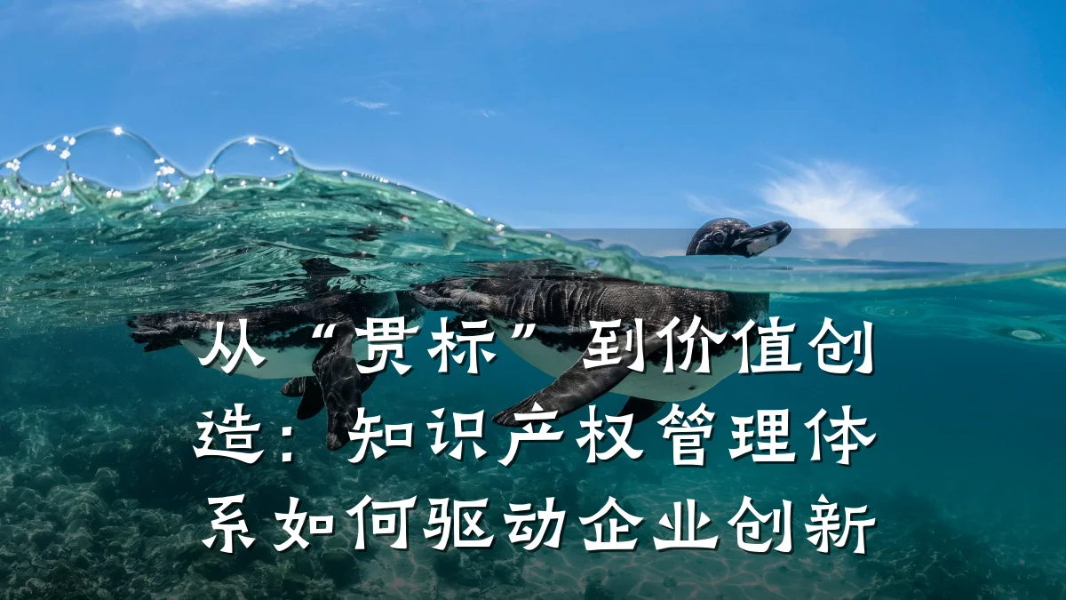 从“贯标”到价值创造：知识产权管理体系如何驱动企业创新