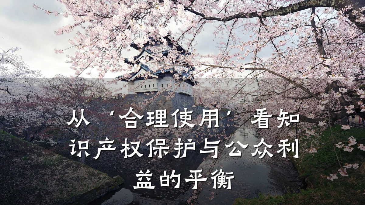 从‘合理使用’看知识产权保护与公众利益的平衡