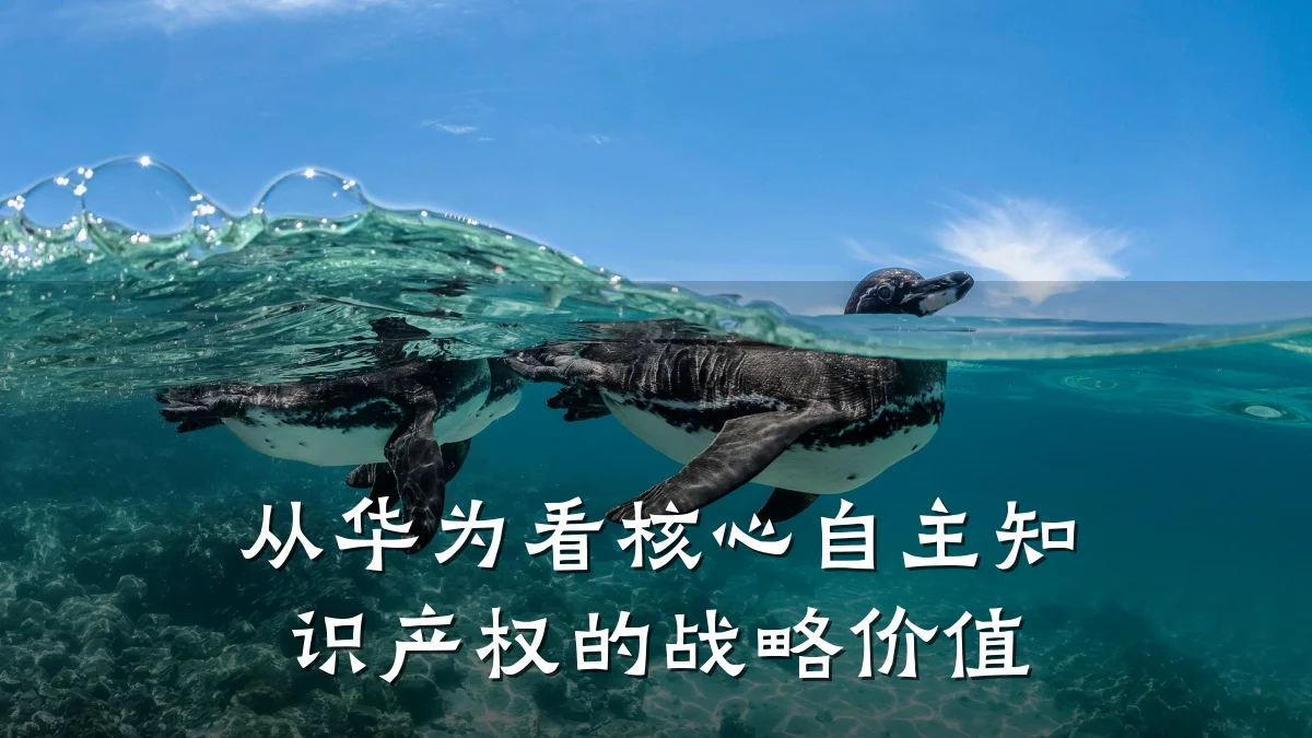 从华为看核心自主知识产权的战略价值