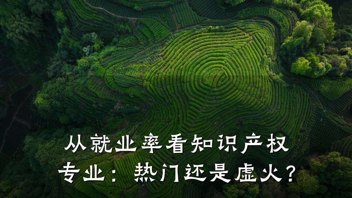 从就业率看知识产权专业:热门还是虚火?