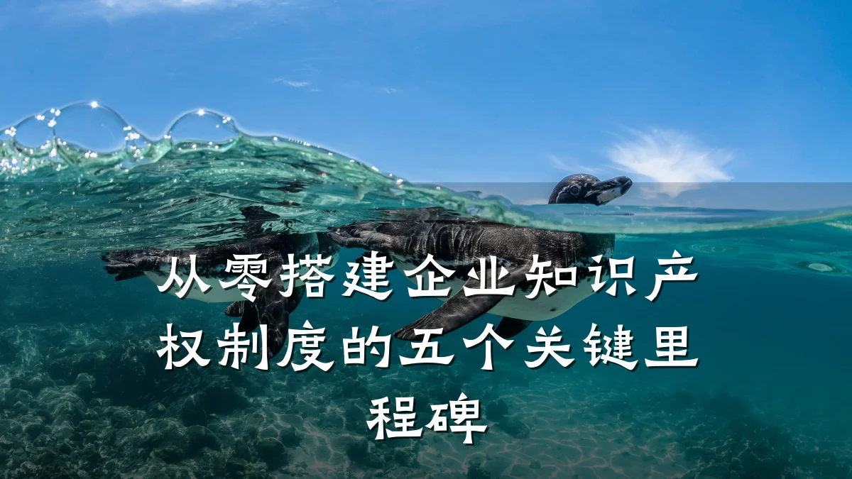 从零搭建企业知识产权制度的五个关键里程碑