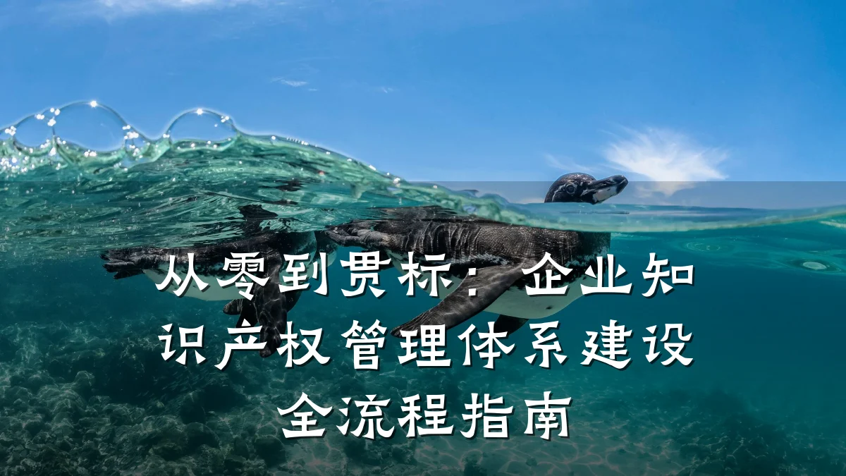 从零到贯标:企业知识产权管理体系建设全流程指南