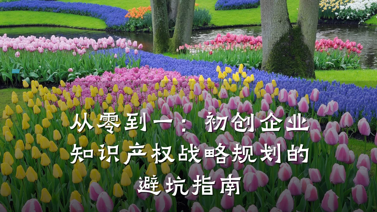 从零到一：初创企业知识产权战略规划的避坑指南