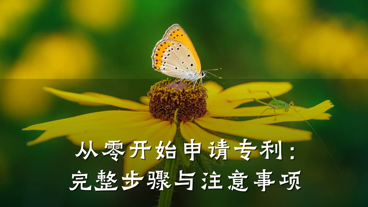 从零开始申请专利:完整步骤与注意事项