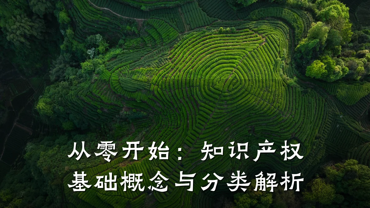 从零开始:知识产权基础概念与分类解析