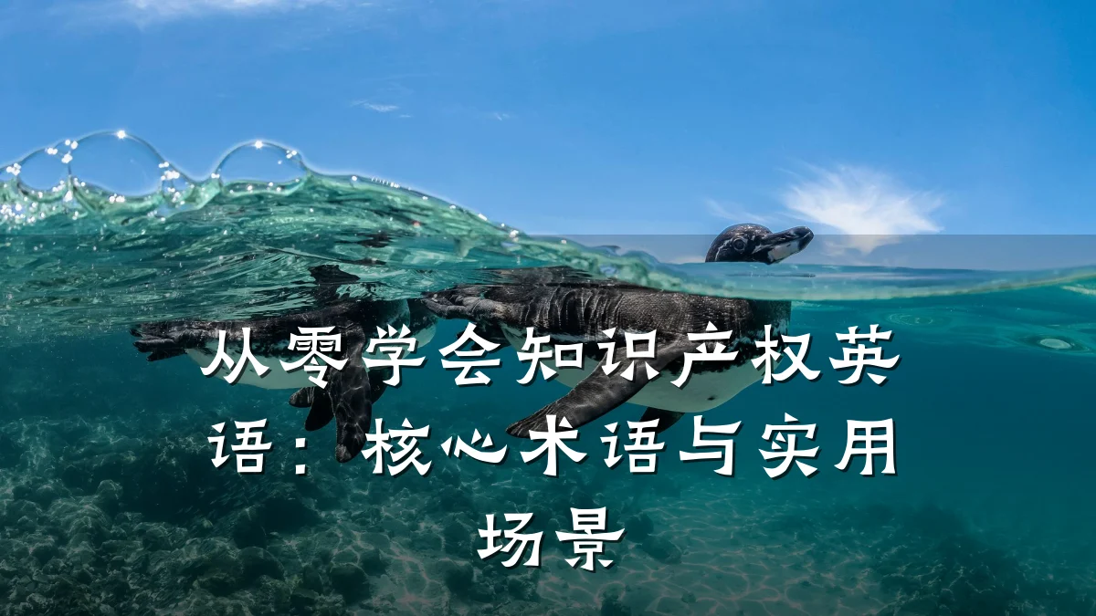 从零学会知识产权英语:核心术语与实用场景