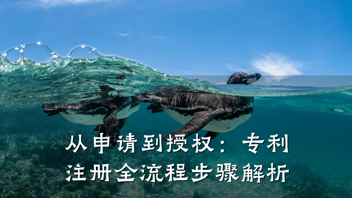 从申请到授权:专利注册全流程步骤解析