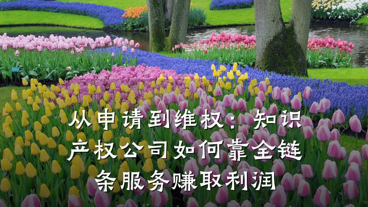 从申请到维权：知识产权公司如何靠全链条服务赚取利润