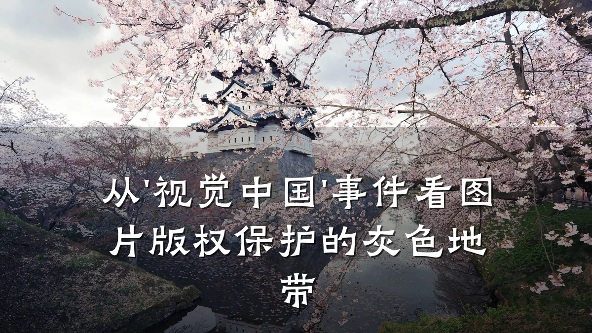 从'视觉中国'事件看图片版权保护的灰色地带