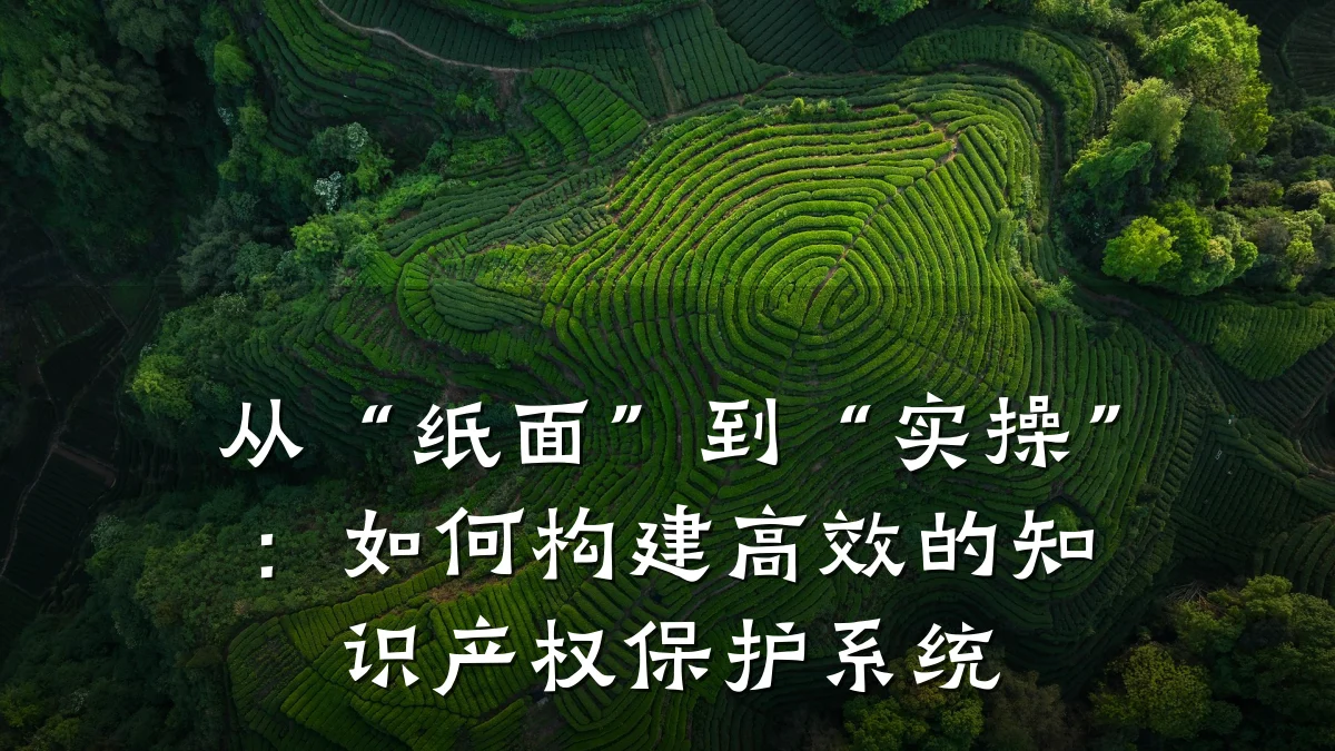 从“纸面”到“实操”：如何构建高效的知识产权保护系统