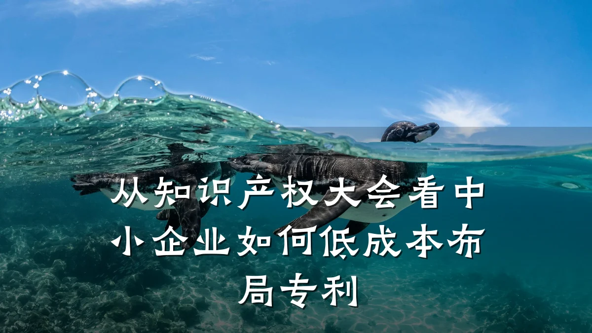 从知识产权大会看中小企业如何低成本布局专利