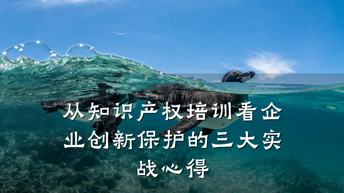从知识产权培训看企业创新保护的三大实战心得
