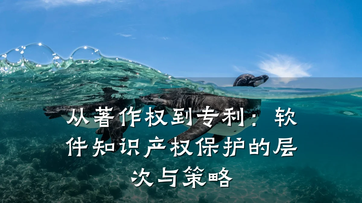 从著作权到专利：软件知识产权保护的层次与策略