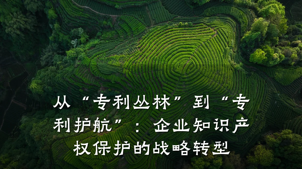 从“专利丛林”到“专利护航”：企业知识产权保护的战略转型