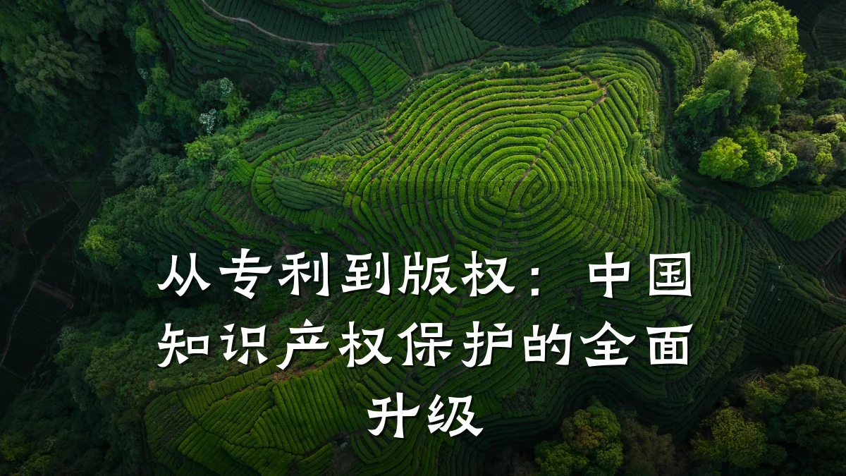 从专利到版权：中国知识产权保护的全面升级