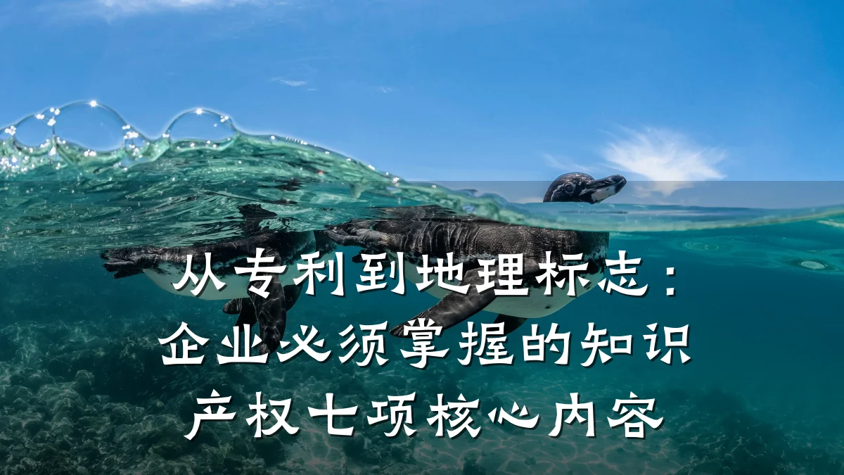 从专利到地理标志：企业必须掌握的知识产权七项核心内容