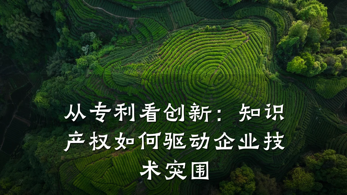 从专利看创新：知识产权如何驱动企业技术突围