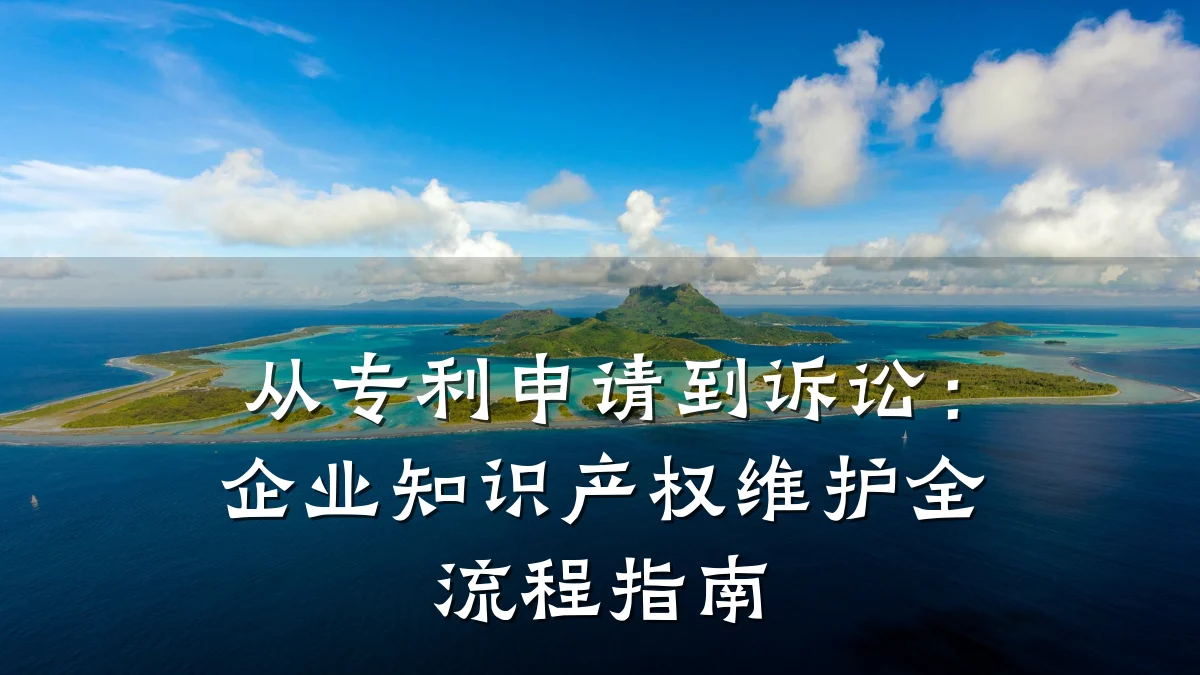 从专利申请到诉讼：企业知识产权维护全流程指南