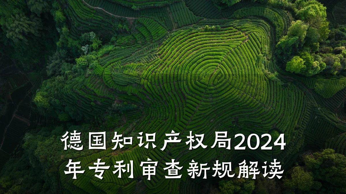 德国知识产权局2024年专利审查新规解读