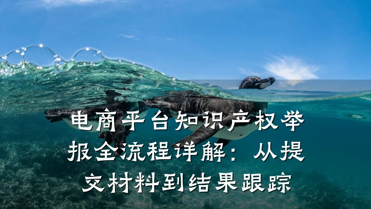 电商平台知识产权举报全流程详解:从提交材料到结果跟踪